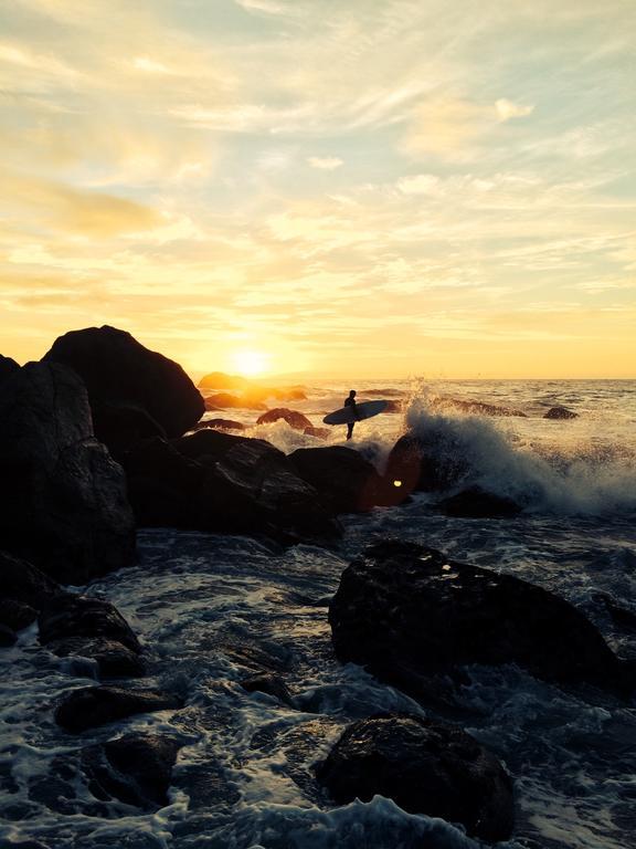 Bazil'S Backpackers Bbh Hostel & Surf School Уестпорт Стая снимка