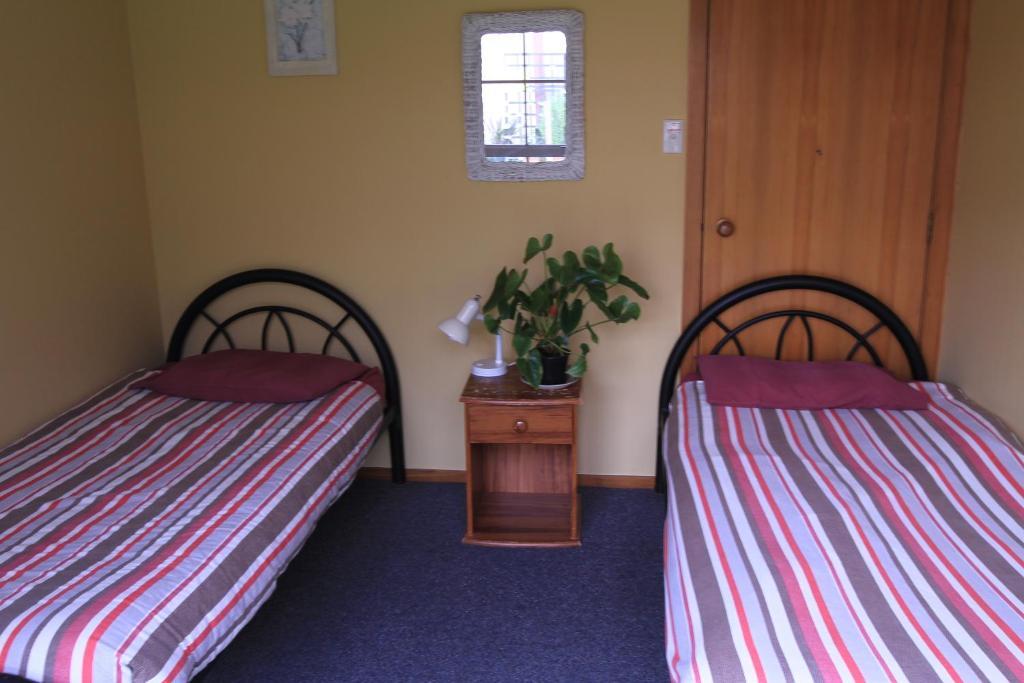 Bazil'S Backpackers Bbh Hostel & Surf School Уестпорт Стая снимка